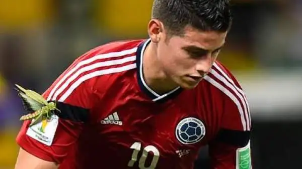 In trance agonistica, James Rodriguez non si è accorto di niente. Ma una cavalletta gigante ha festeggiato con lui la rete realizzata al Brasile.