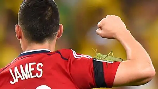 Hanno fatto il giro del mondo le immagini della cavalletta gigante sul braccio James Rodriguez.