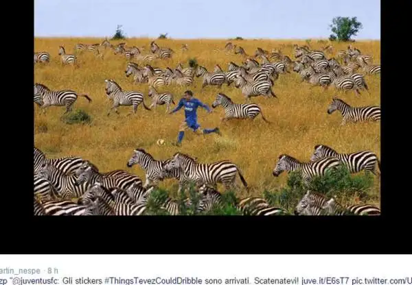 Tra le (juventinissime) zebre.