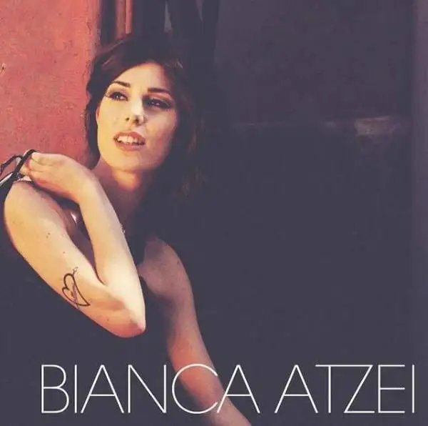I venti campioni in cara al Festival di Sanremo 2015.