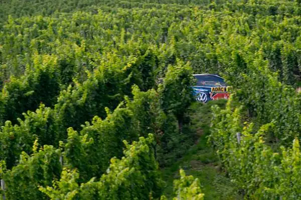 Il campione del mondo Ogier ha confermato la sua superiorità precedendo Jari-Matti Latvala e Andres Mikkelsen: tripletta Volkswagen.