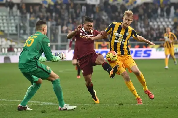 Torino-Verona 0-0
