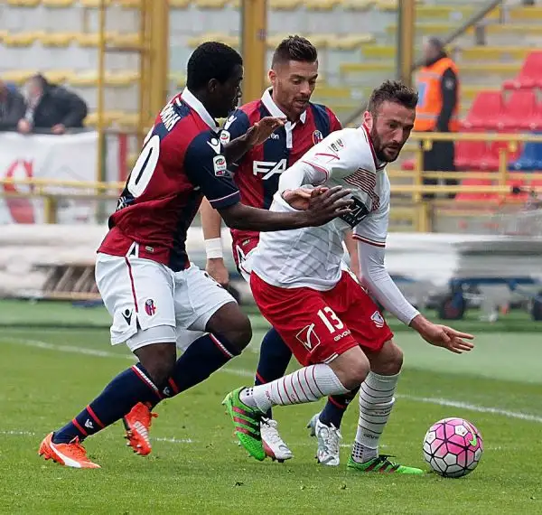La squadra di Donadoni crea diverse occasioni ma non riesce a piegare il Carpi che conferma la sua solidità e con il pari del Dall'Ara tiene vive le speranze salvezza.