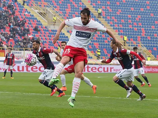 La squadra di Donadoni crea diverse occasioni ma non riesce a piegare il Carpi che conferma la sua solidità e con il pari del Dall'Ara tiene vive le speranze salvezza.