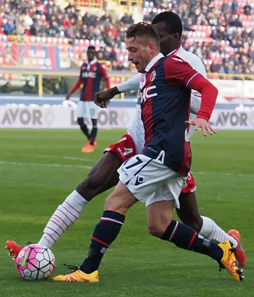 La squadra di Donadoni crea diverse occasioni ma non riesce a piegare il Carpi che conferma la sua solidità e con il pari del Dall'Ara tiene vive le speranze salvezza.