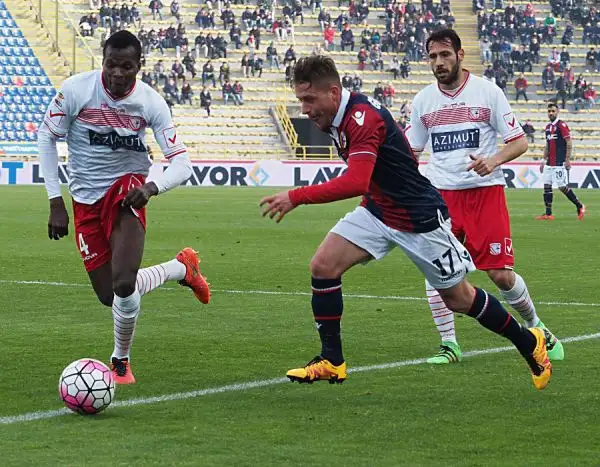 La squadra di Donadoni crea diverse occasioni ma non riesce a piegare il Carpi che conferma la sua solidità e con il pari del Dall'Ara tiene vive le speranze salvezza.