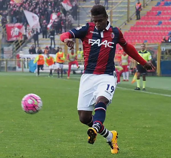 La squadra di Donadoni crea diverse occasioni ma non riesce a piegare il Carpi che conferma la sua solidità e con il pari del Dall'Ara tiene vive le speranze salvezza.