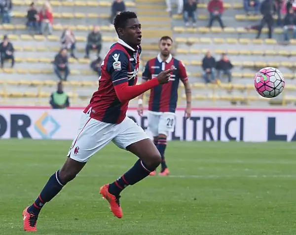 La squadra di Donadoni crea diverse occasioni ma non riesce a piegare il Carpi che conferma la sua solidità e con il pari del Dall'Ara tiene vive le speranze salvezza.