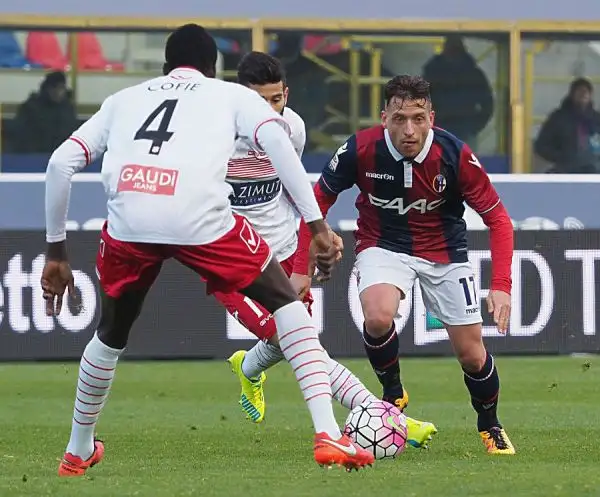 La squadra di Donadoni crea diverse occasioni ma non riesce a piegare il Carpi che conferma la sua solidità e con il pari del Dall'Ara tiene vive le speranze salvezza.