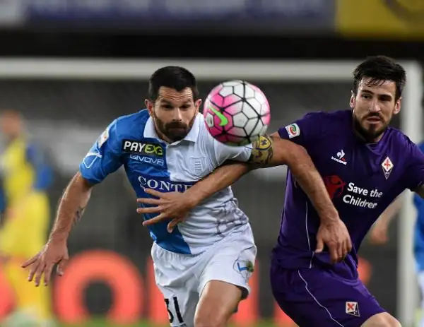 Chievo e Fiorentina pari in tutto. Finisce 0-0 la gara del Bentegodi, con un legno per parte.