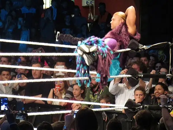 Tutto esaurito al Forum di Assago per la prima tappa italiana del tour "Wrestlemania Revenge", con Roman Reigns e tutti gli altri grandi wrestler protagonisti sul ring.