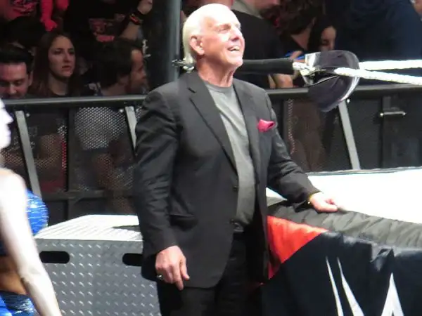 Tutto esaurito al Forum di Assago per la prima tappa italiana del tour "Wrestlemania Revenge", con Roman Reigns e tutti gli altri grandi wrestler protagonisti sul ring.