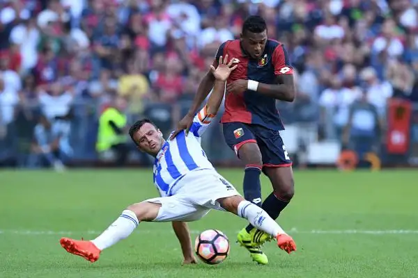 Genoa-Pescara 1-1