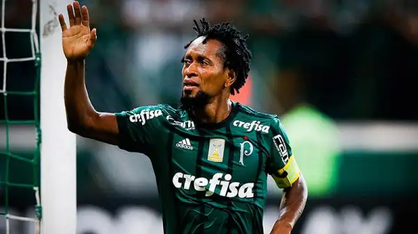 L'ex calciatore del Bayern Monaco ha annunciato il ritiro a 43 anni suonati. Giocava nel Palmeiras.