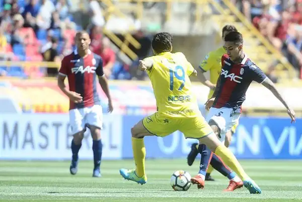 Con i gol di Giaccherini e Inglese, che hanno ribaltato il gol iniziale di Verdi i veronesi si portano a +2 dalla zona retrocessione.
