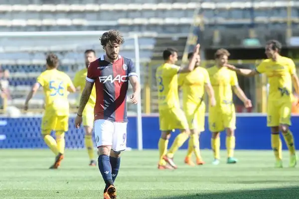 Con i gol di Giaccherini e Inglese, che hanno ribaltato il gol iniziale di Verdi i veronesi si portano a +2 dalla zona retrocessione.