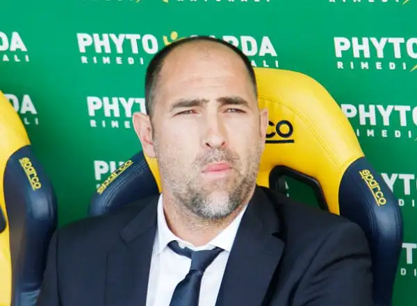 Con un gol di Barak i bianconeri, nell'occasione in giallo, espugnano il Bentegodi e salgono a +2 da Crotone e Spal.