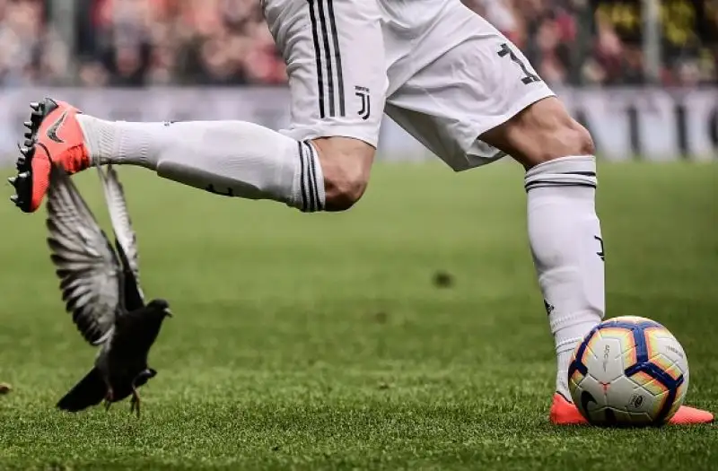 I bianconeri senza Ronaldo cadono a Marassi.