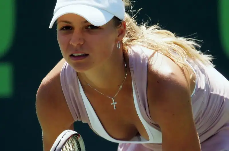 Il suo miglior ranking nella classifica WTA è stato il 5° posto raggiunto nell'ottobre del 2011.