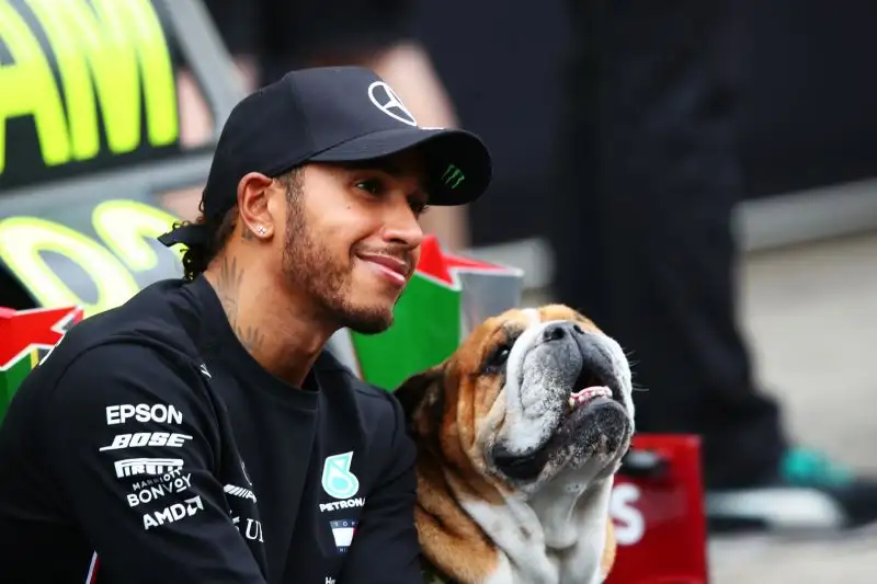 Da allora Hamilton è letteralmente esploso, vincendo bei sei titoli mondiali, con Mercedes