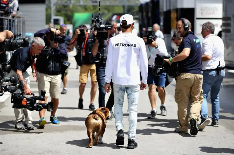 Quando non è lo stesso Lewis a portarlo con sé nelle passeggiate