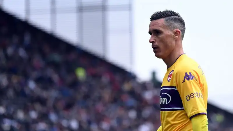Josè Callejon
Granada 30%, Parma 30%, Benevento 30%, Lazio 10%