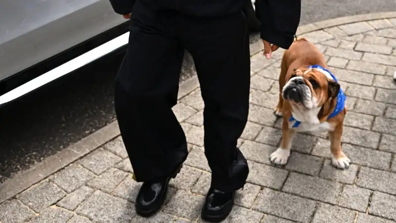 Il pilota britannico raramente si separa dal suo cane