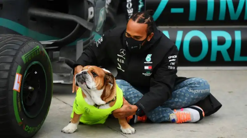 Ecco Hamilton e Roscoe