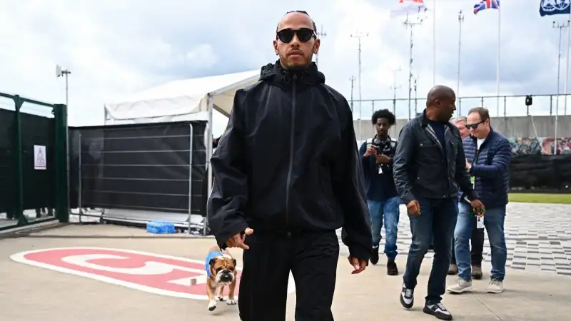 Roscoe, come annunciato nel 2020 da Hamilton, è vegano