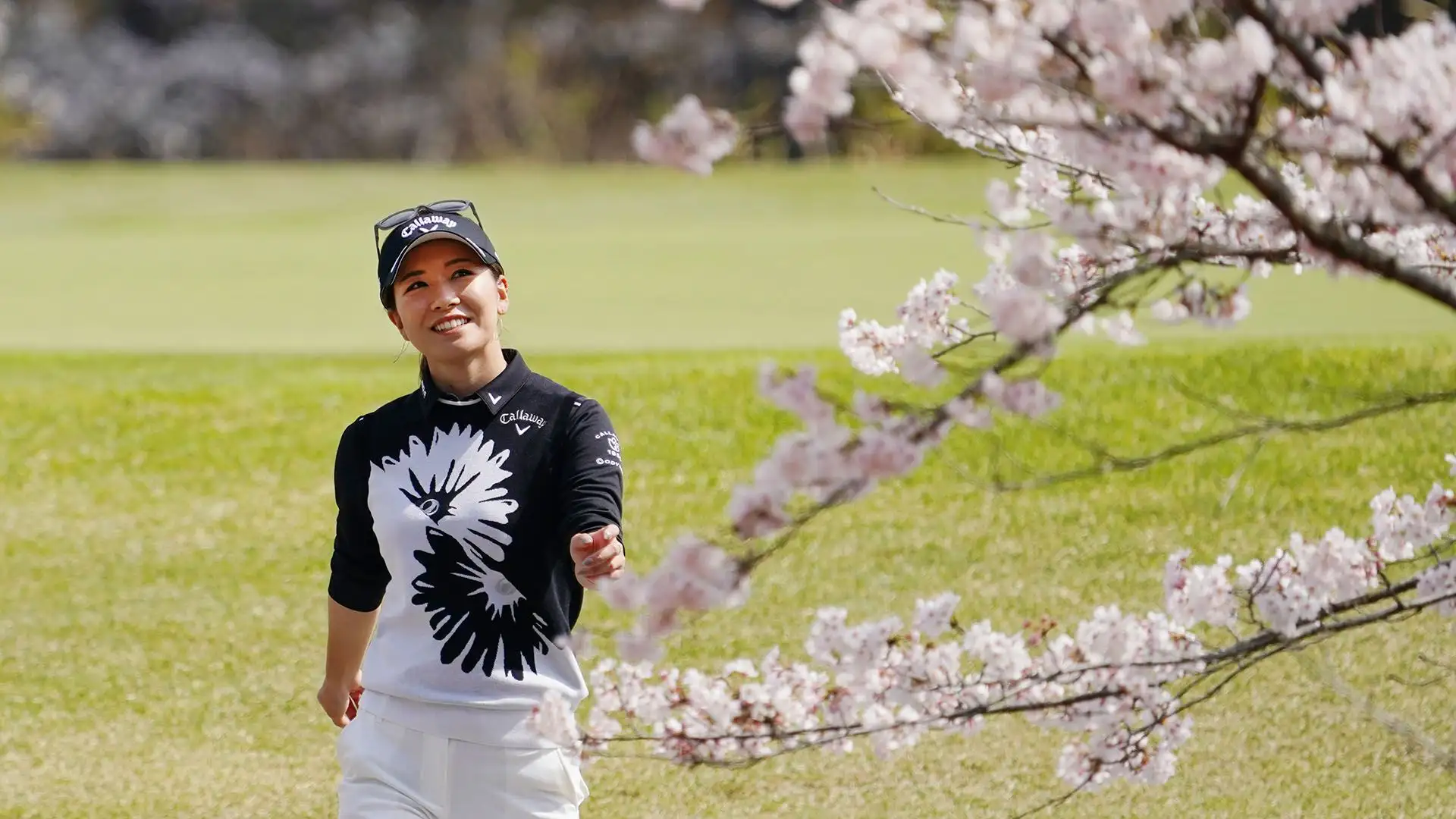 Hikari Fujita