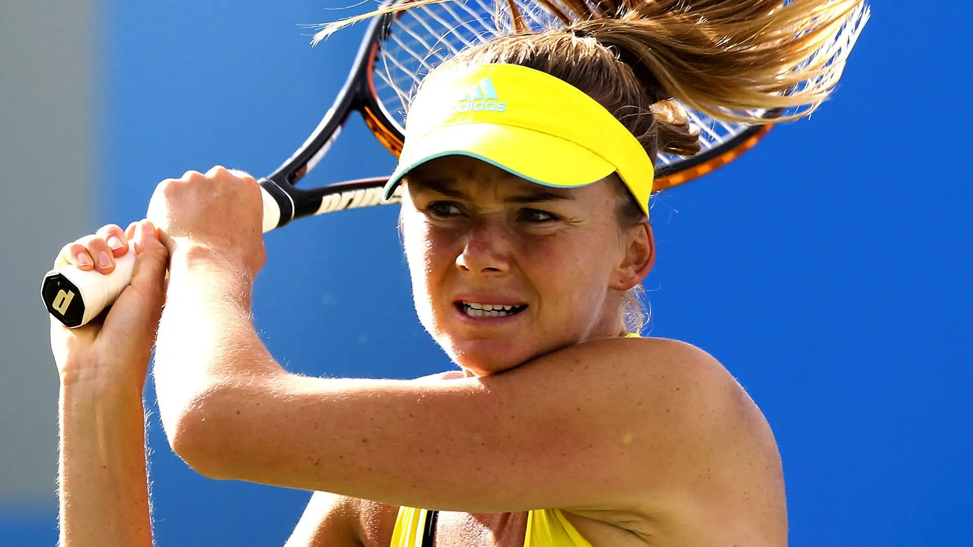 Daniela si è aggiudicata 7 titoli WTA in singolare, arrivando fino alla posizione nº5 in classifica mondiale nel gennaio 2003 e accumulando, durante gli anni, montepremi superiori a 10 000 000 $