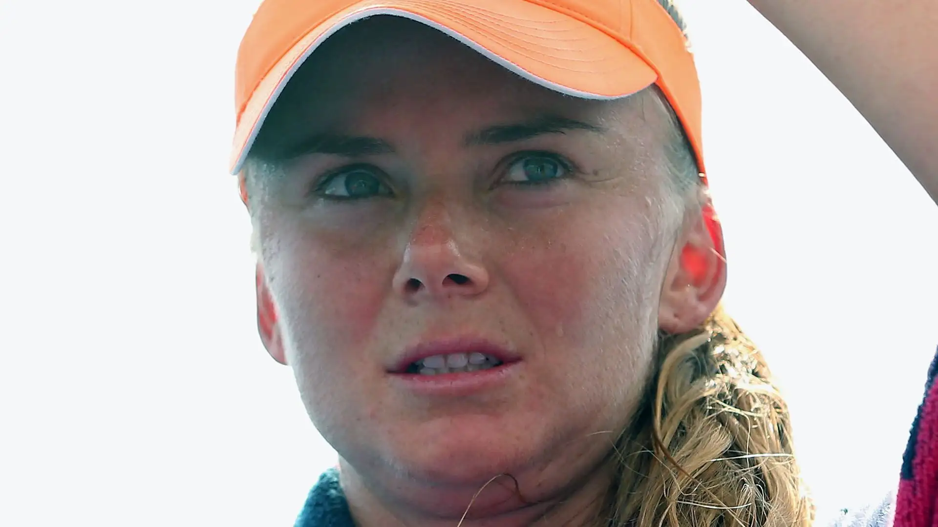Daniela si è aggiudicata 7 titoli WTA in singolare, arrivando fino alla posizione nº5 in classifica mondiale nel gennaio 2003 e accumulando, durante gli anni, montepremi superiori a 10 000 000 $