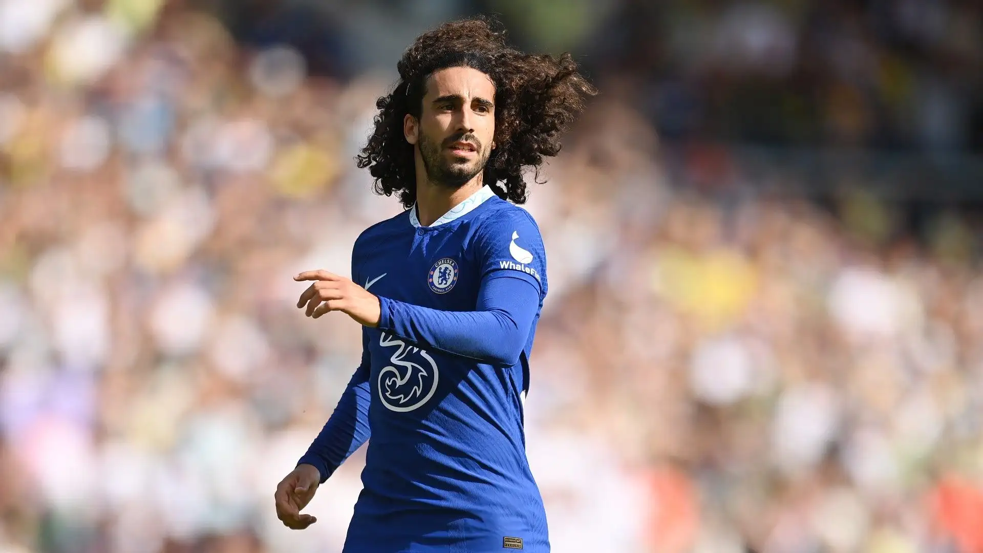 6- Marc Cucurella, stagione 2022/2023 da Brighton per 65,30 mln €
