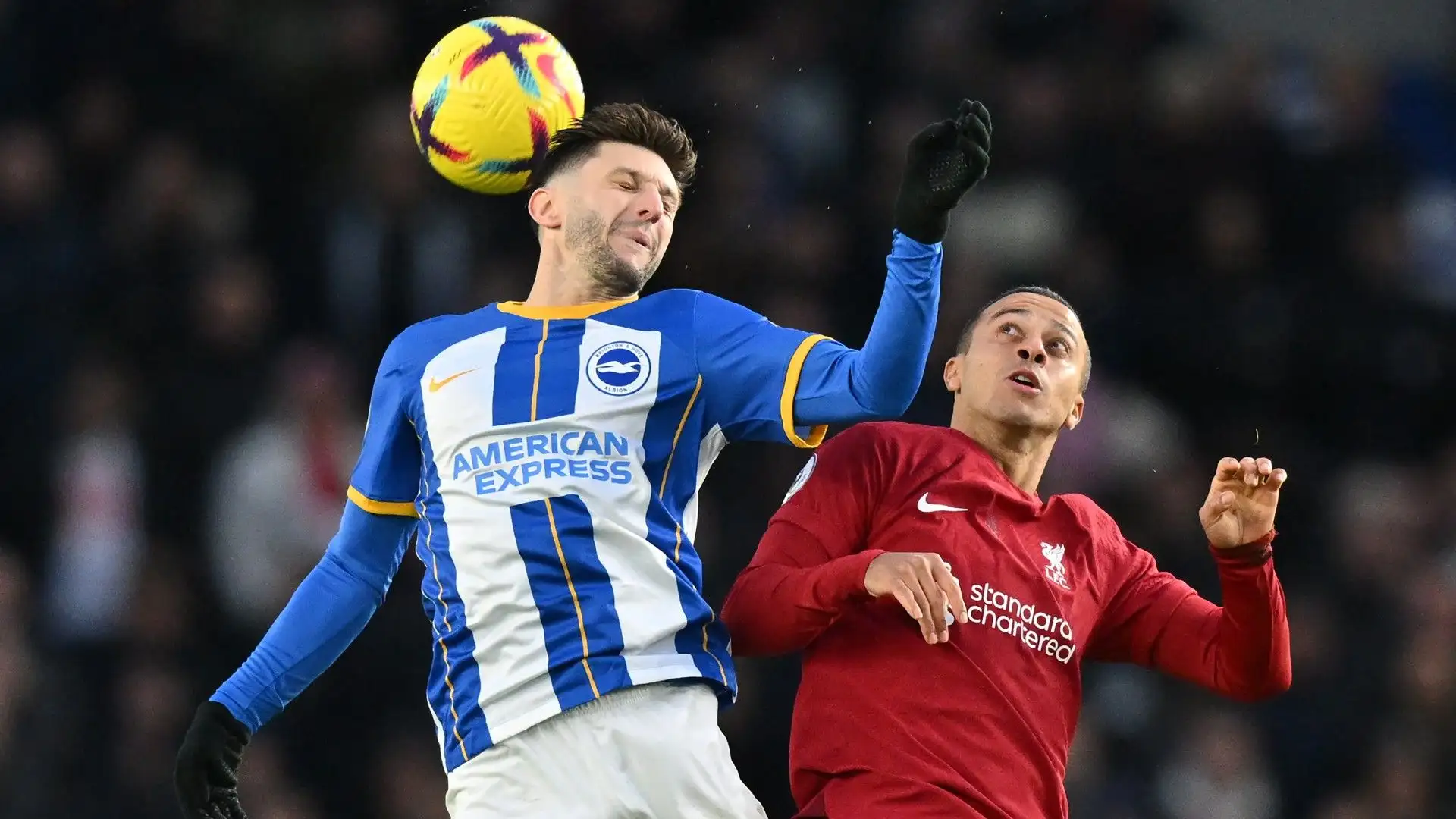 Festeggia il Brighton