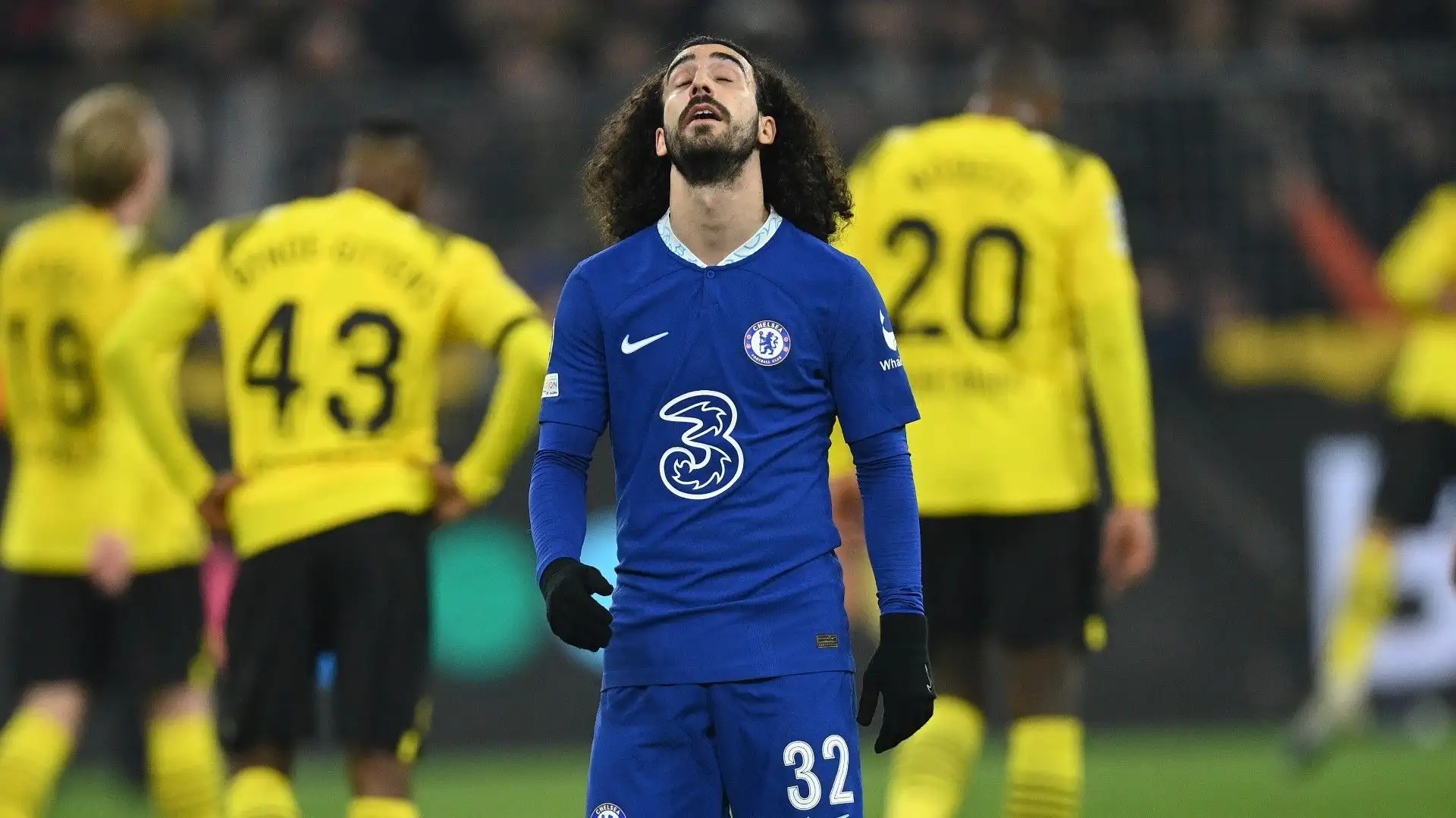 Cucurella disperato