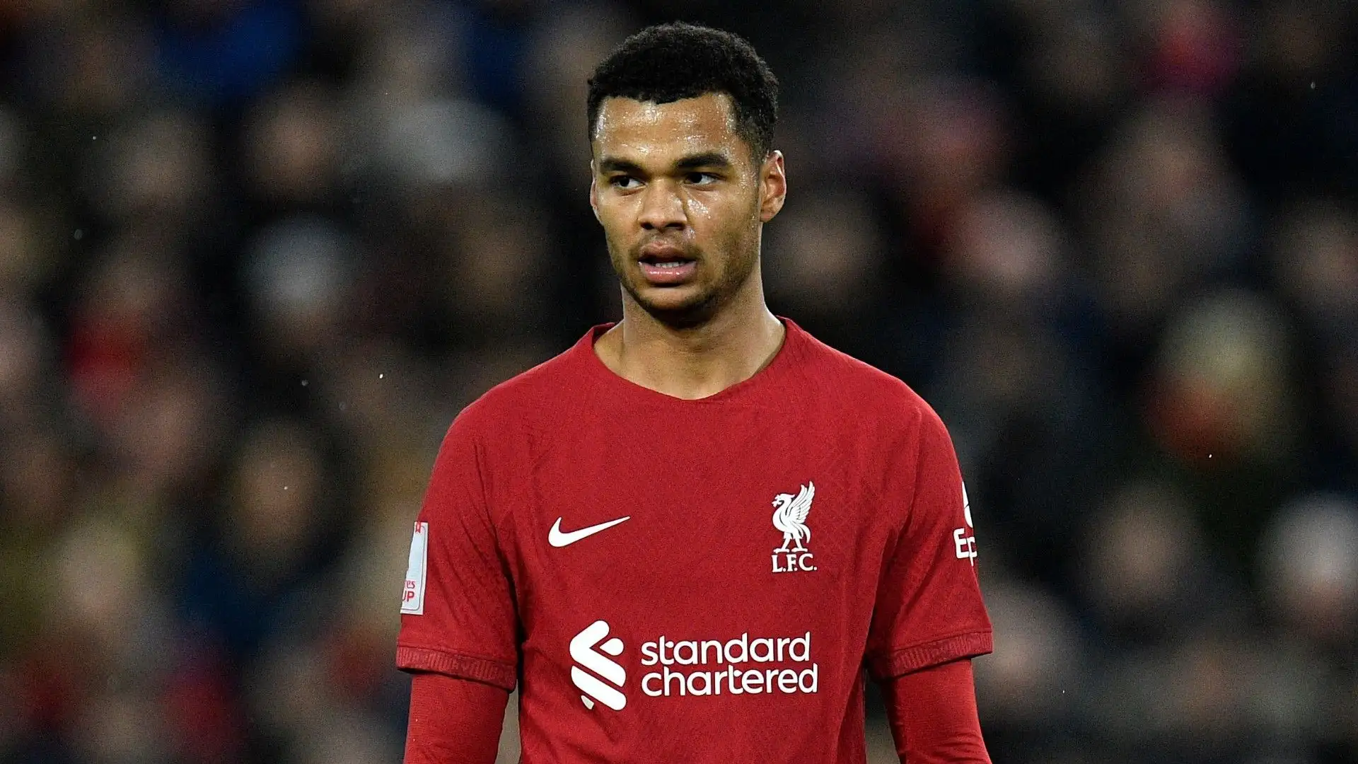 4- Cody Gakpo dal PSV al Liverpool per 42,00 mln €
