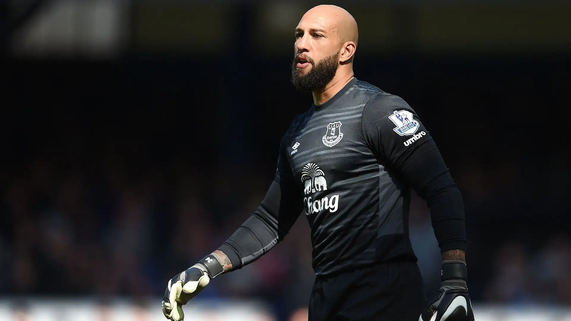 Tim Howard
