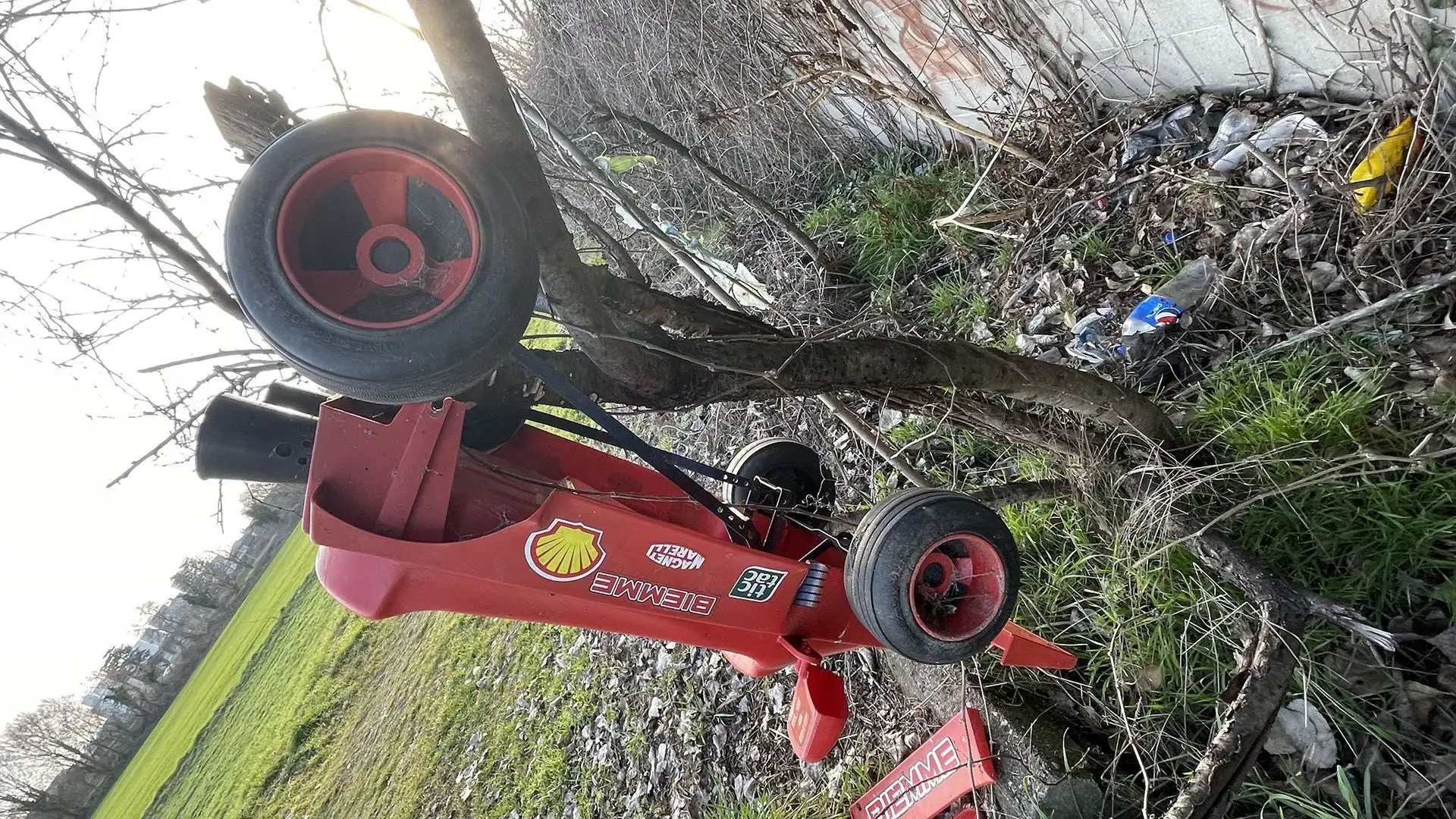 I tifosi della Ferrari sperano tanto di tornare a gioire