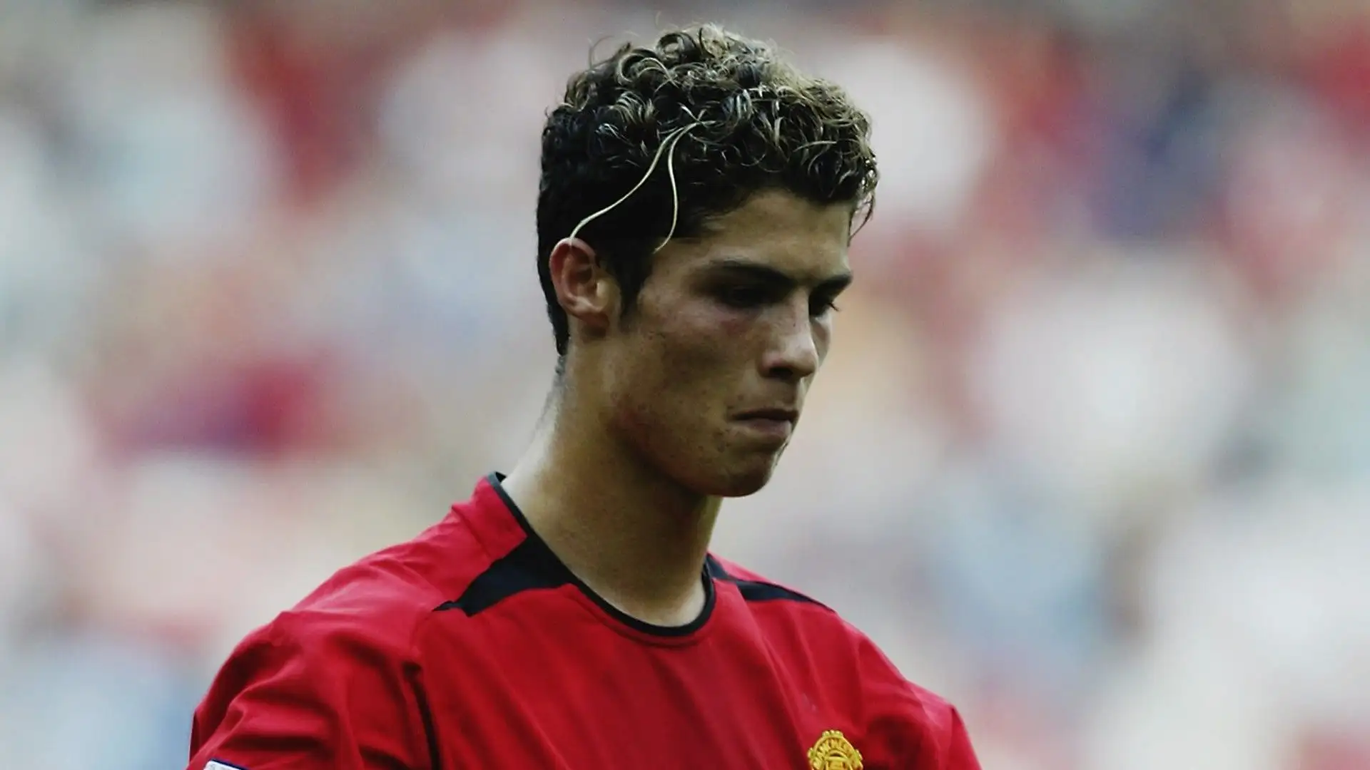 Coppa d'Inghilterra: 1 (Manchester United: 2003-2004)