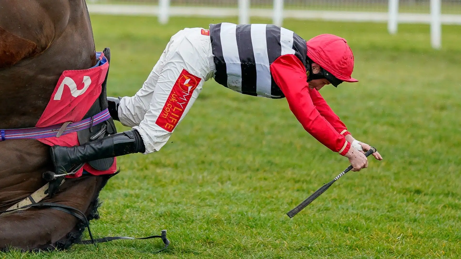 E' successo all'ippodromo di Sandown Park