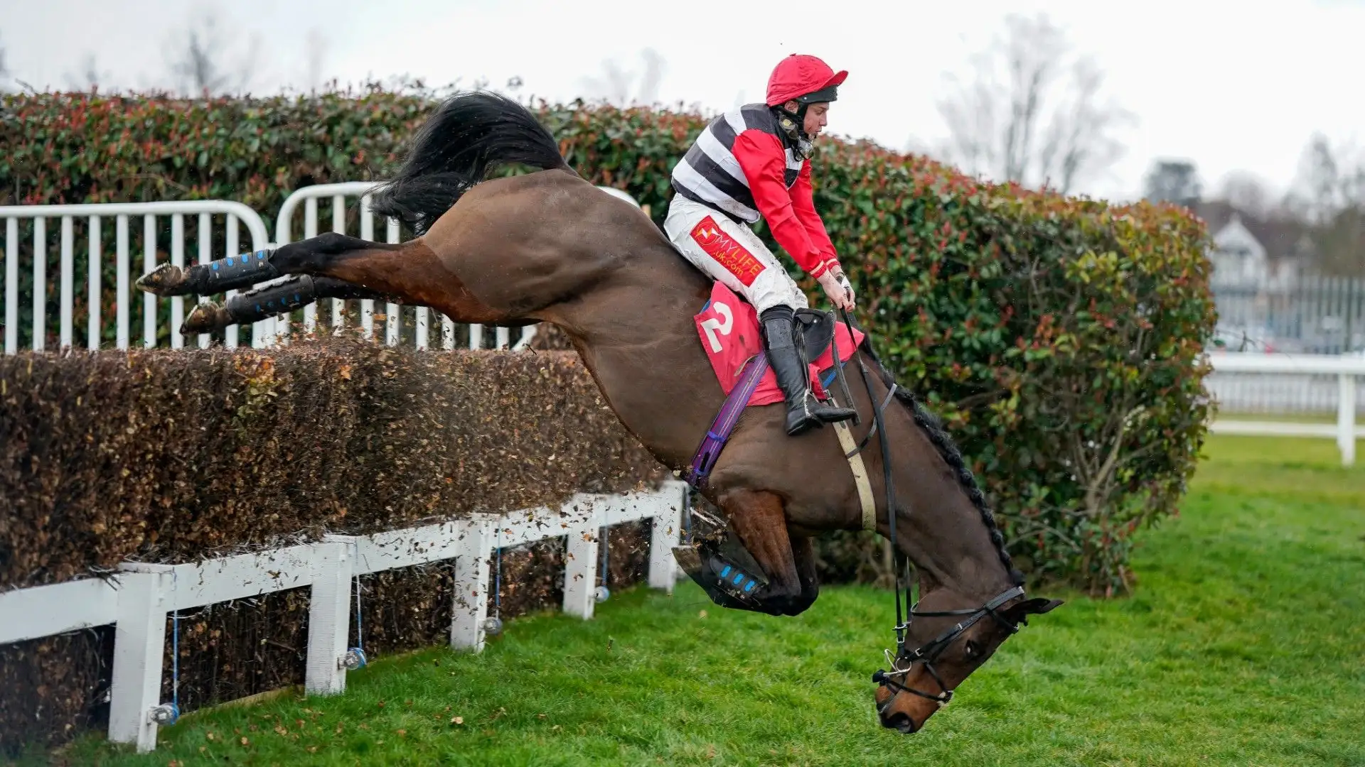 Grande spavento per il cavallo e per il fantino