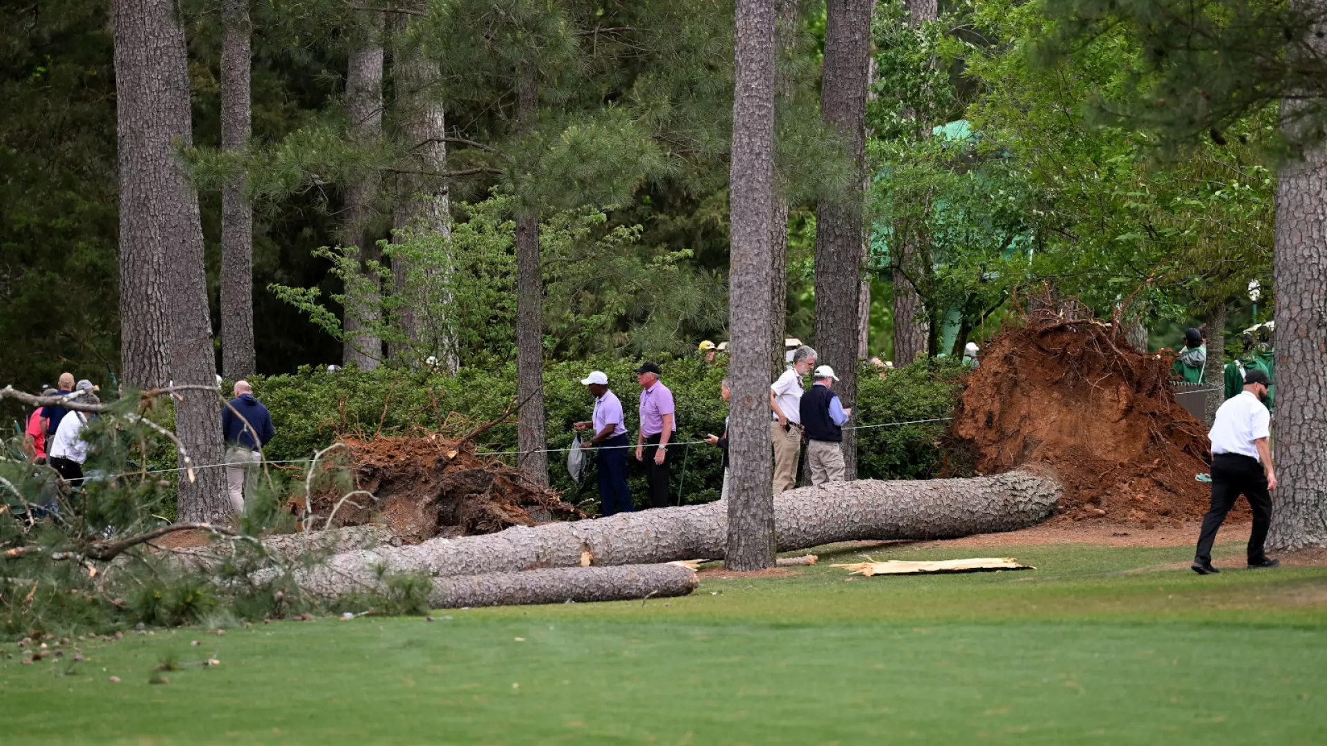 Paura all’Augusta Masters, cadono due alberi vicino al pubblico