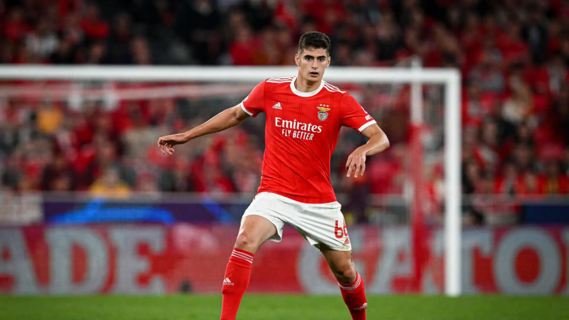 António Silva (Benfica)