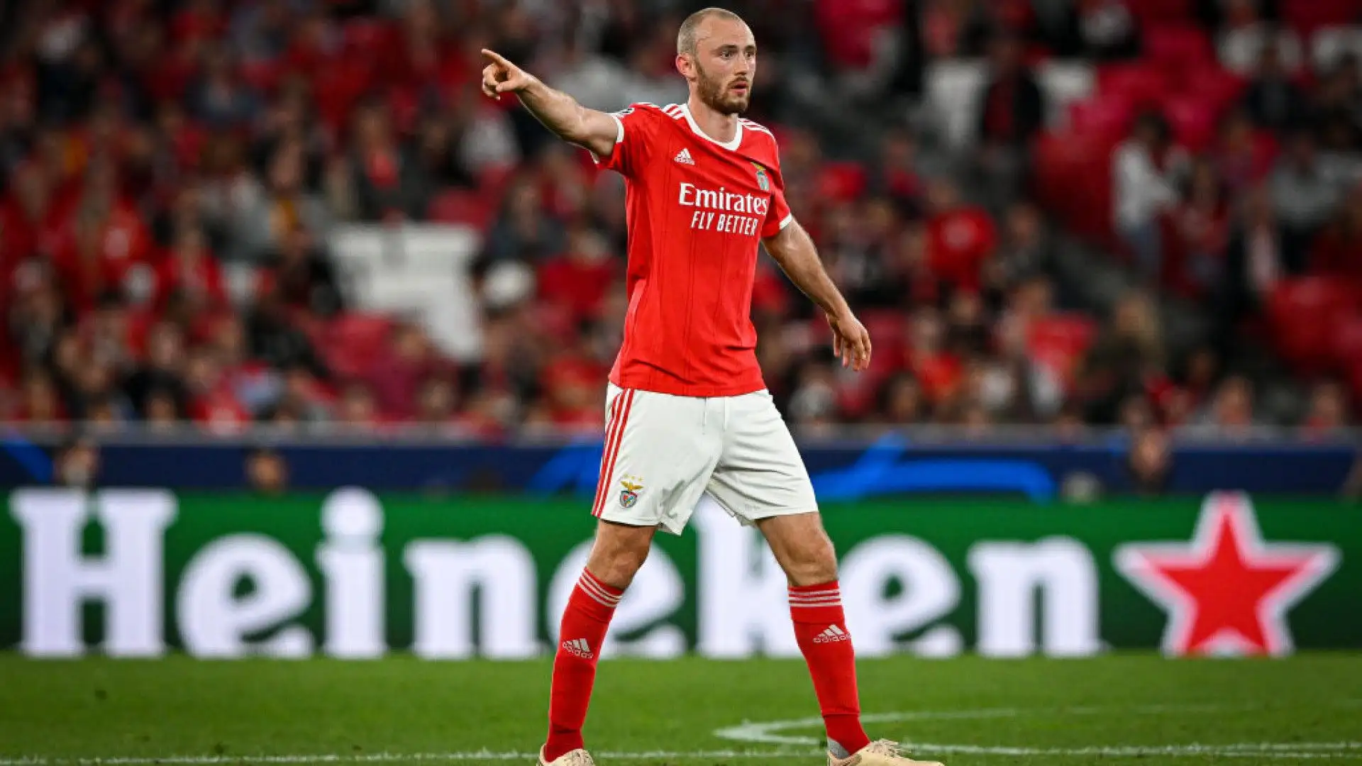 Fredrik Aursnes (Benfica)