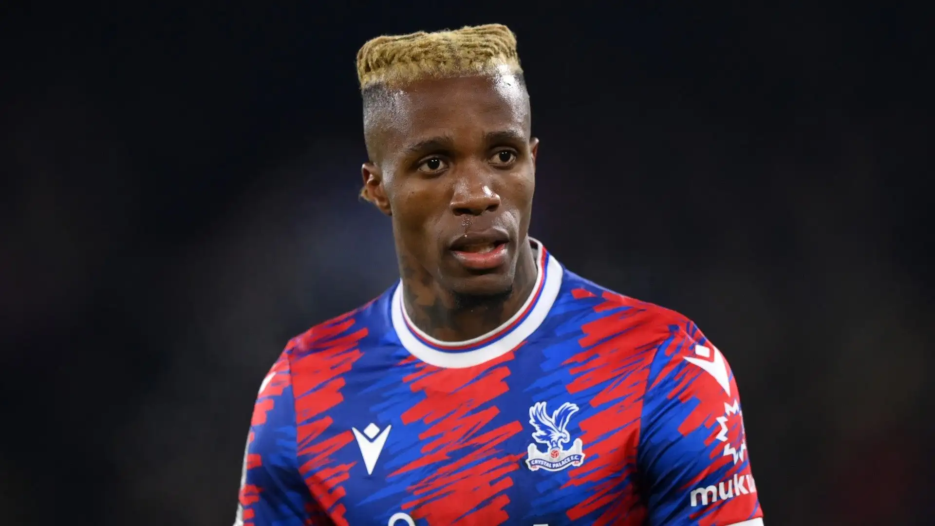 Nel 2014 Wilfried Zaha è tornato al Crystal Palace dove gioca ancora oggi