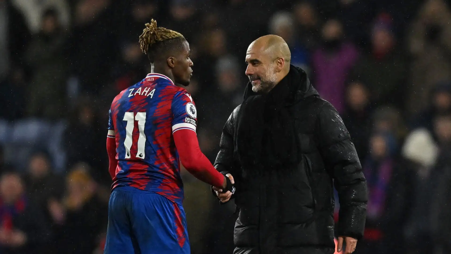 Con la nazionale della Costa d'Avorio Wilfried Zaha ha collezionato 30 presenze e 5 gol