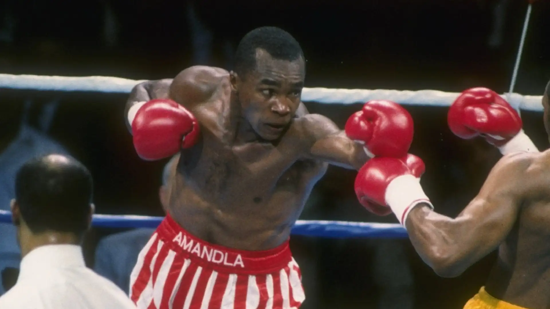 Sugar Ray Leonard (Stati Uniti): 11 titoli mondiali in 5 differenti classi di peso