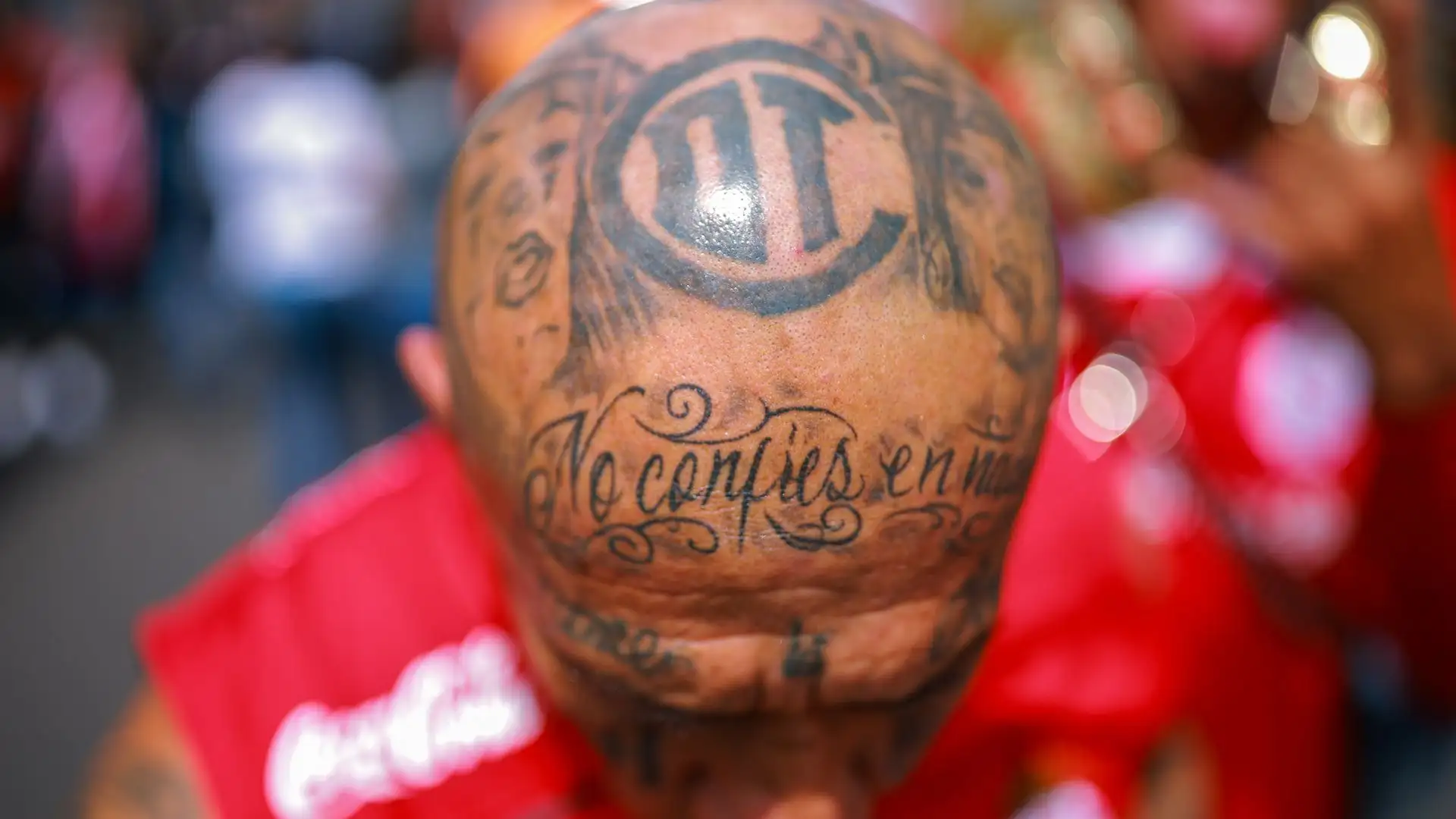 Si è fatto tatuare anche sulla testa