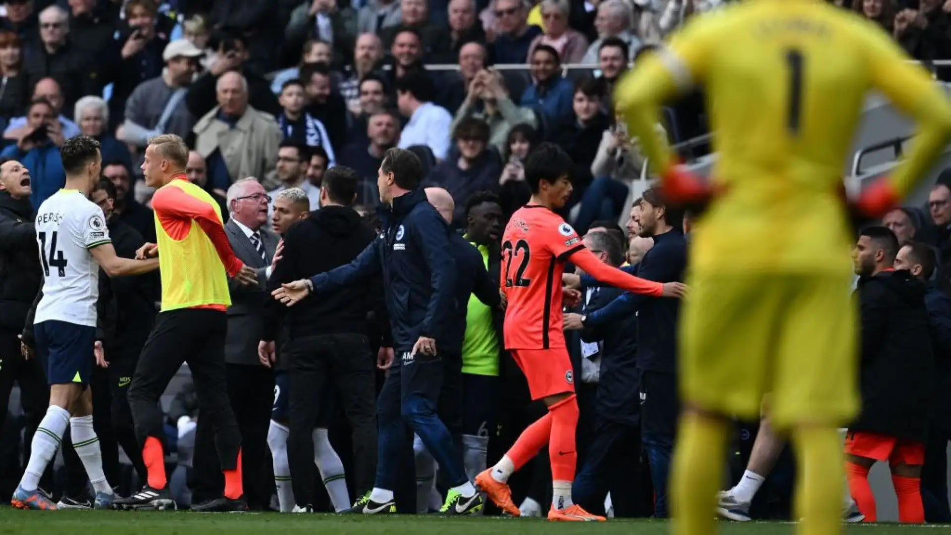 Sia l'allenatore del Tottenham che quello del Brighton sono stati espulsi