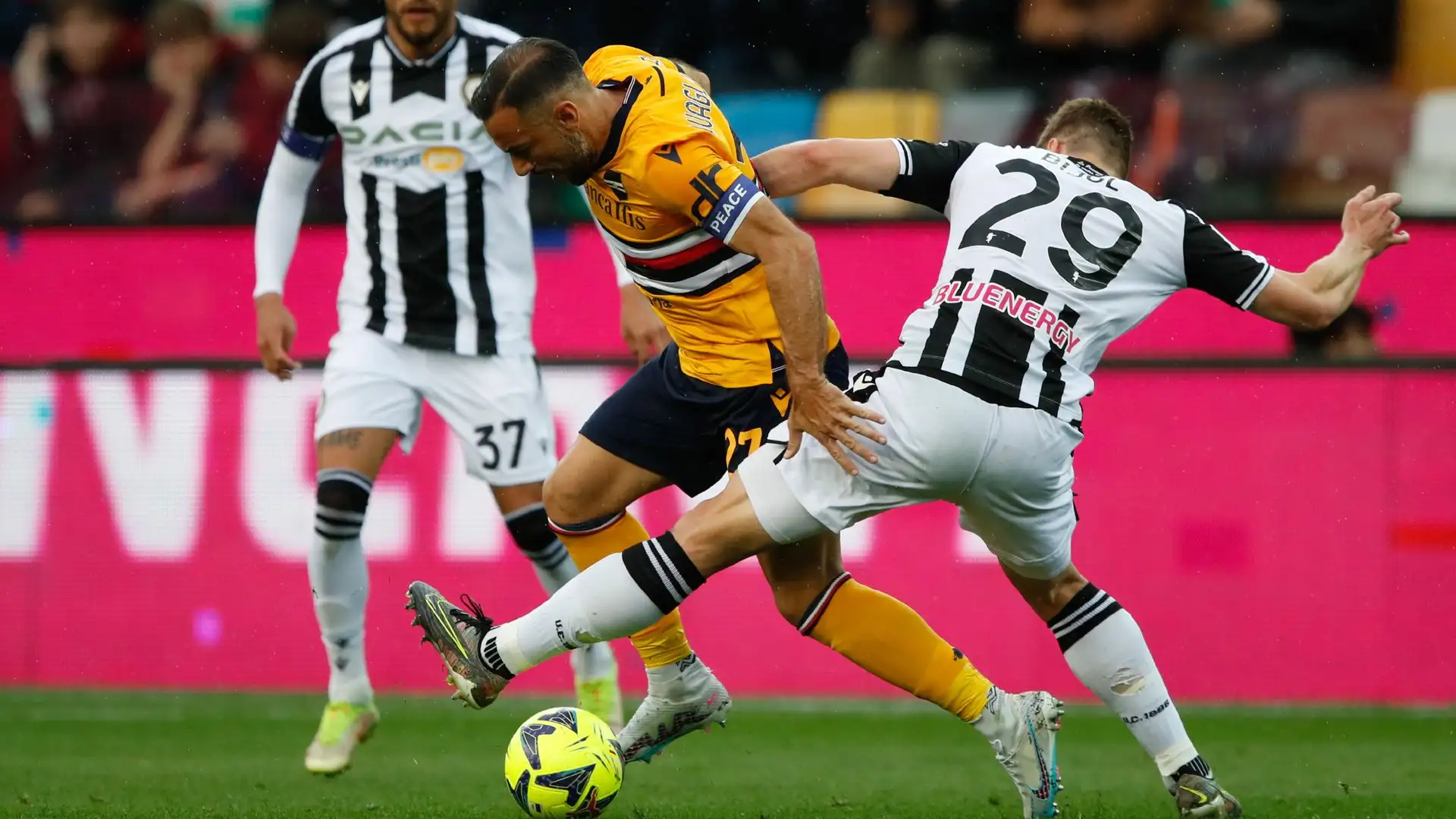 Quagliarella, uno degli ex della partita, ha lottato